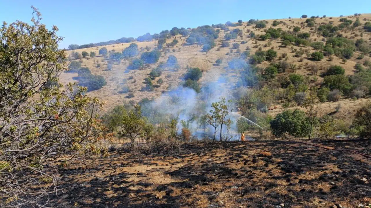 Yozgat’ta kırsalda çıkan yangının boyutu şaşırttı