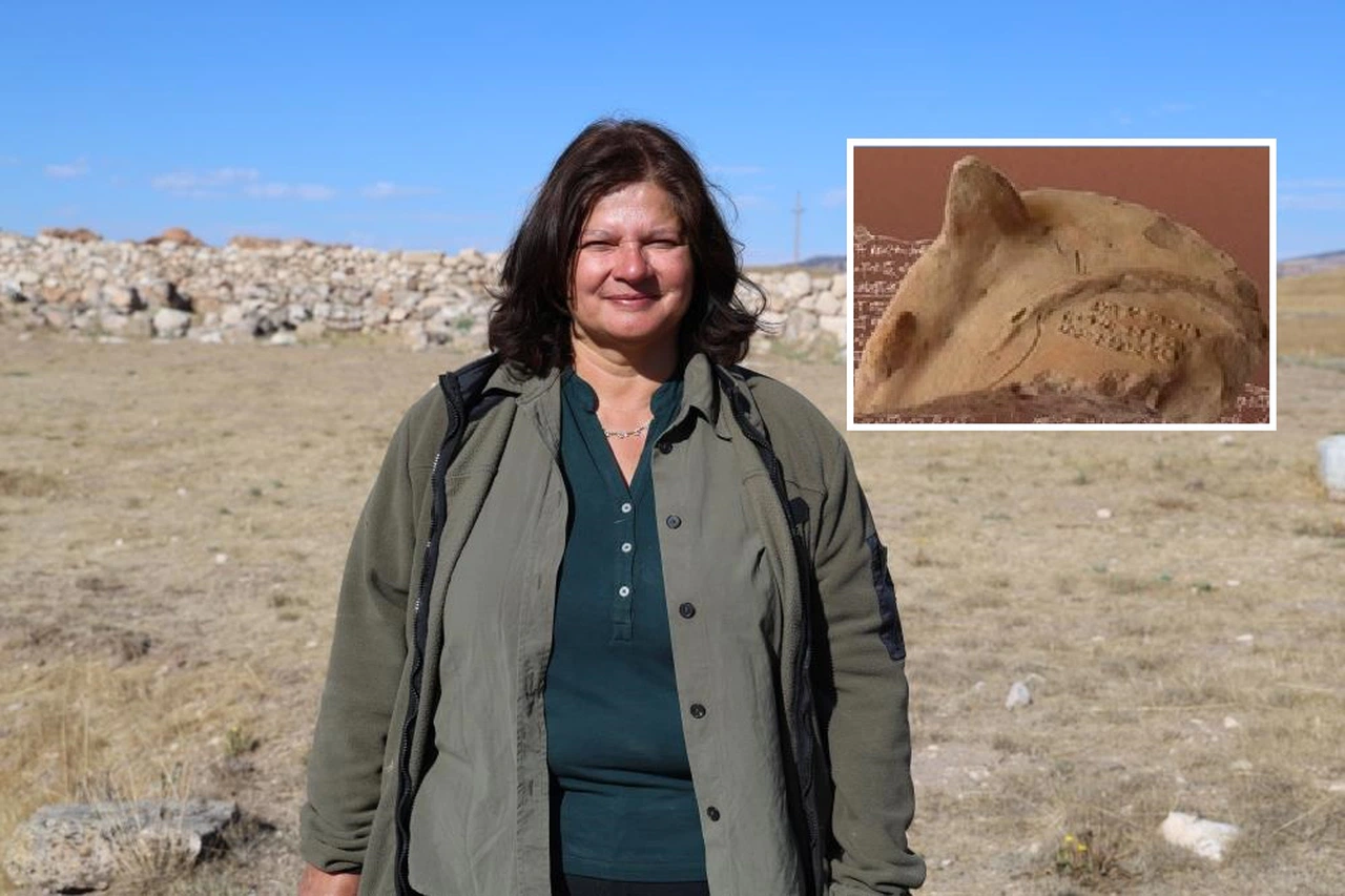 Sivas kazısında ilginç detay: Krallar falla seçiliyordu!