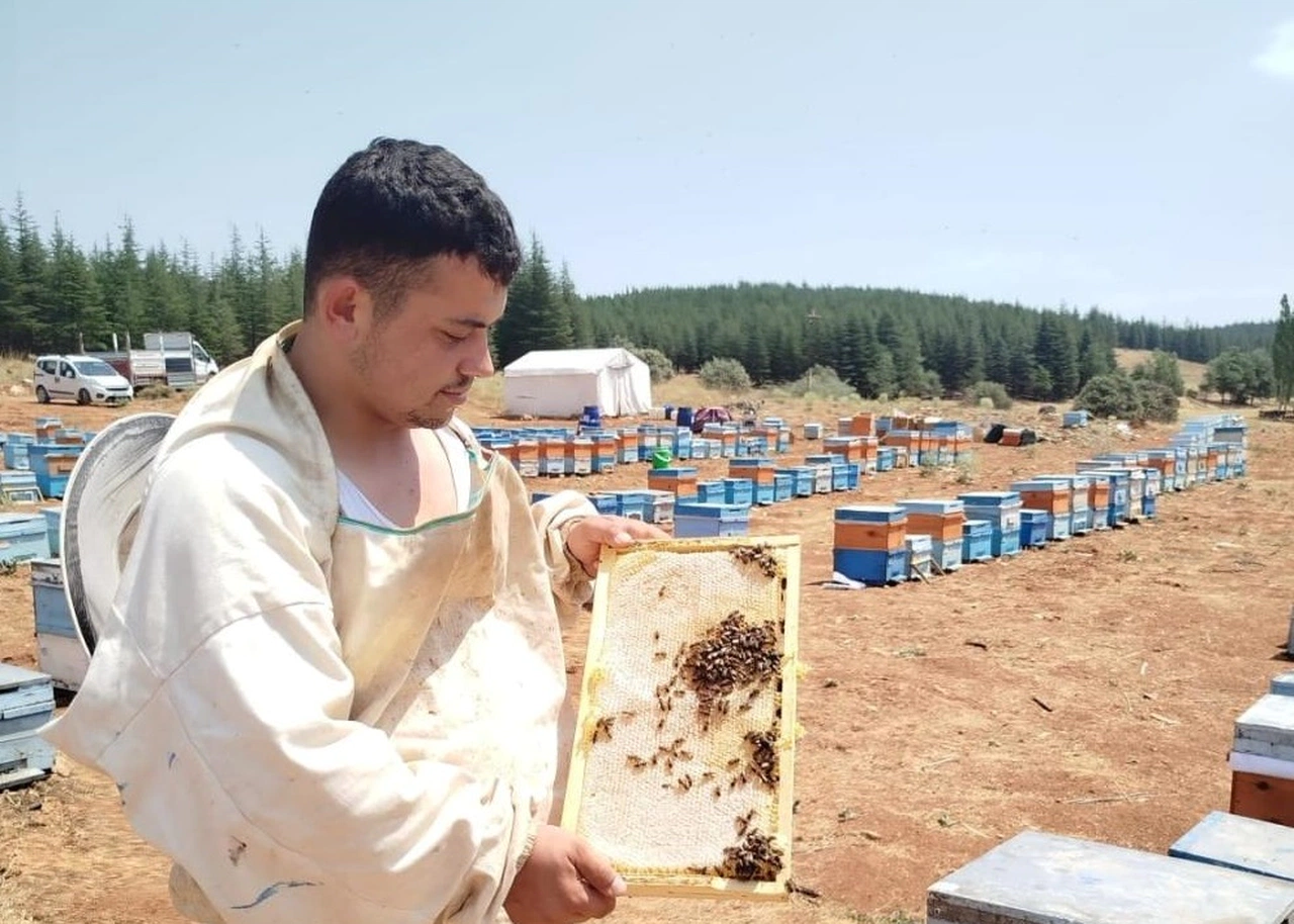 Klavyesini Bırakıp Kovanı Seçti! O Gencin Kararı Herkesi Şaşırttı!
