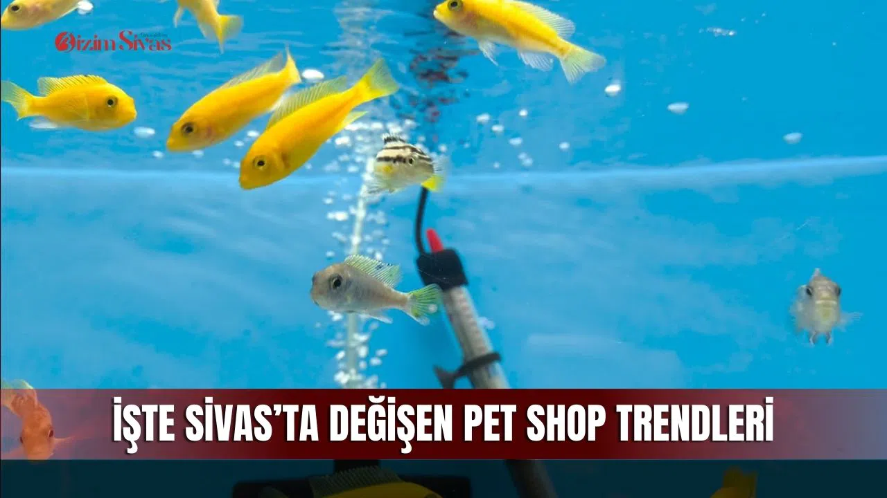 İşte Sivas’ta değişen pet shop trendleri