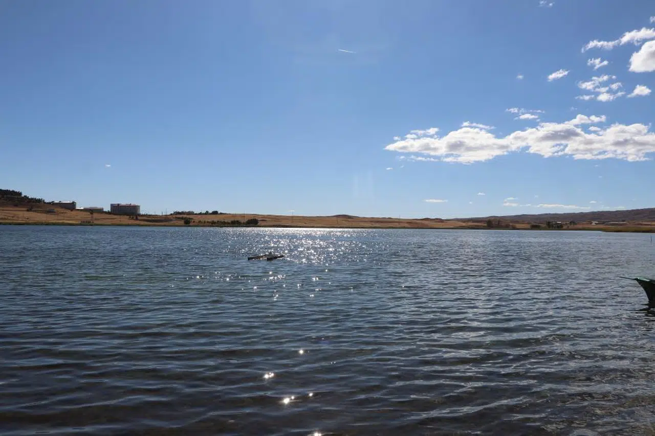 Sivas'ın Su Kaynakları, 1.2 Milyon Yavru Sazanla Buluştu