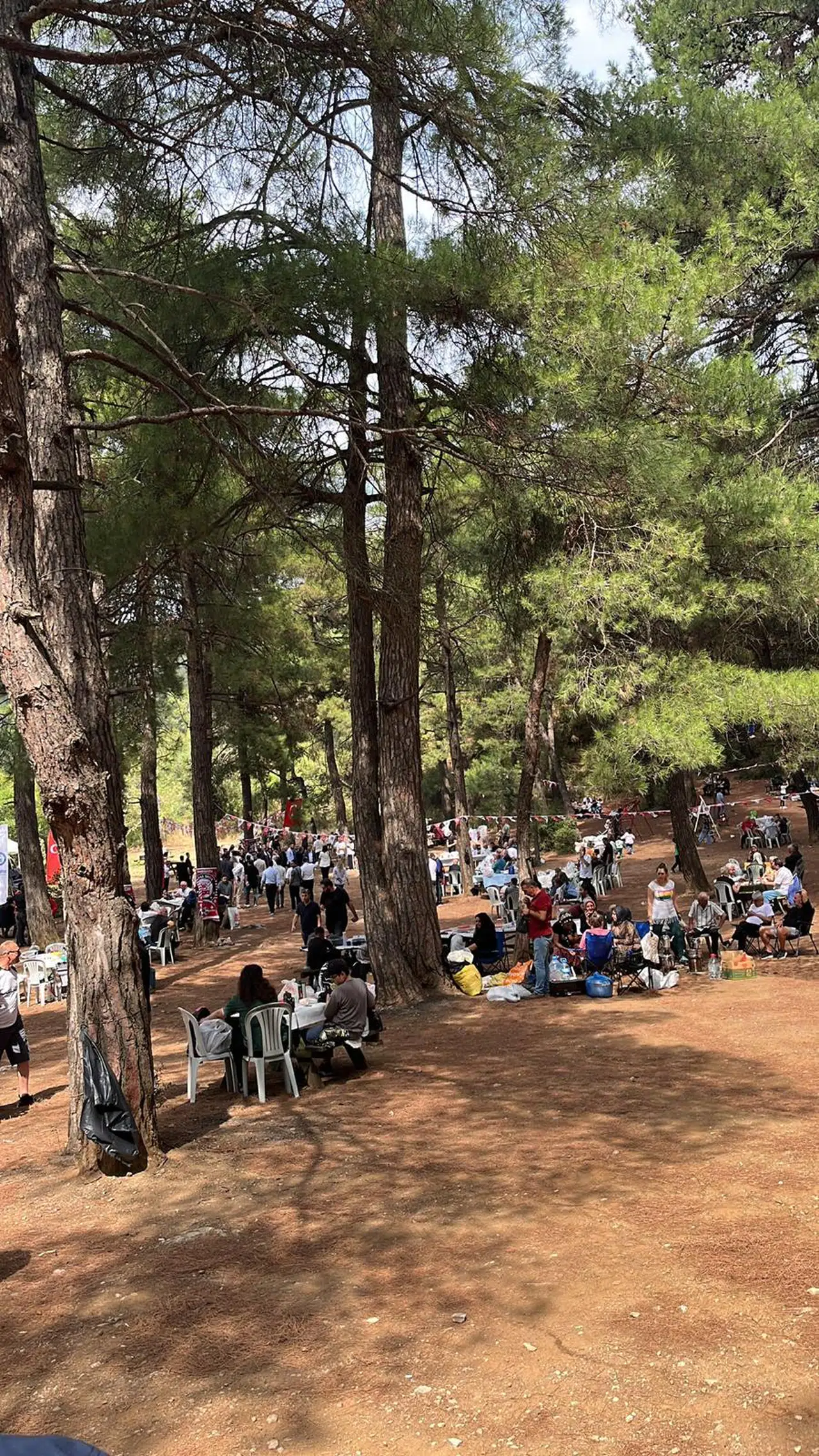 Bursa'da Günlerden Sivas