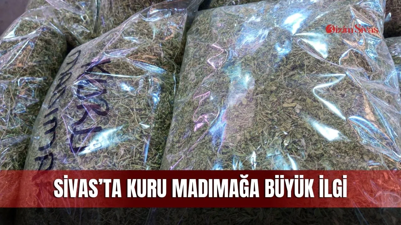 Sivas’ta kuru madımağa büyük ilgi