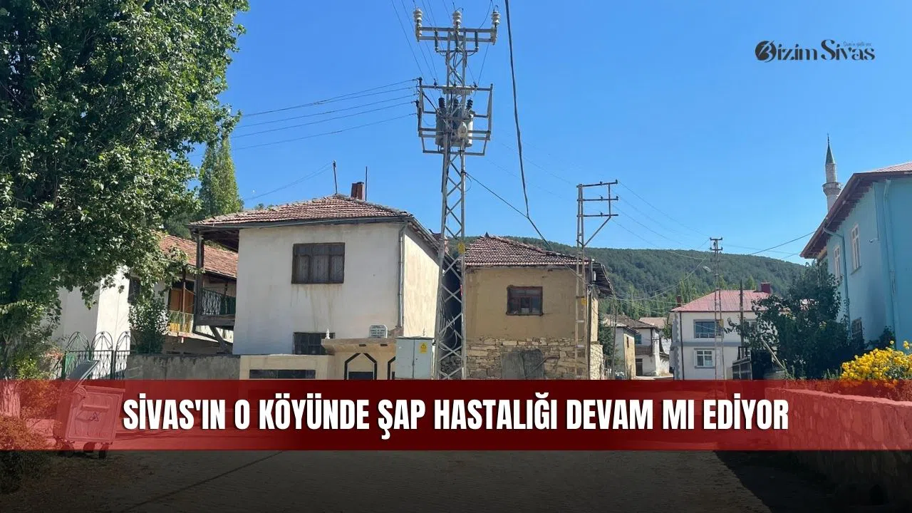 Sivas'ın o köyünde şap hastalığı devam mı ediyor