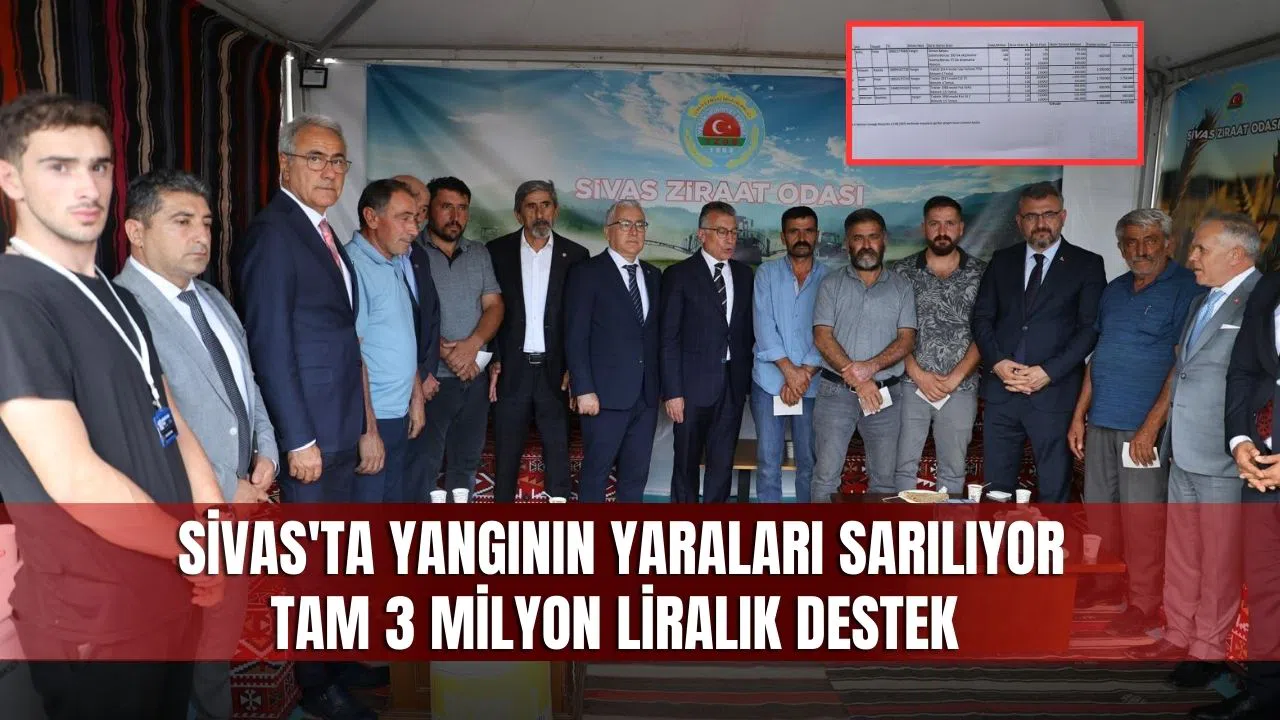 Sivas'ta yangının yaraları sarılıyor