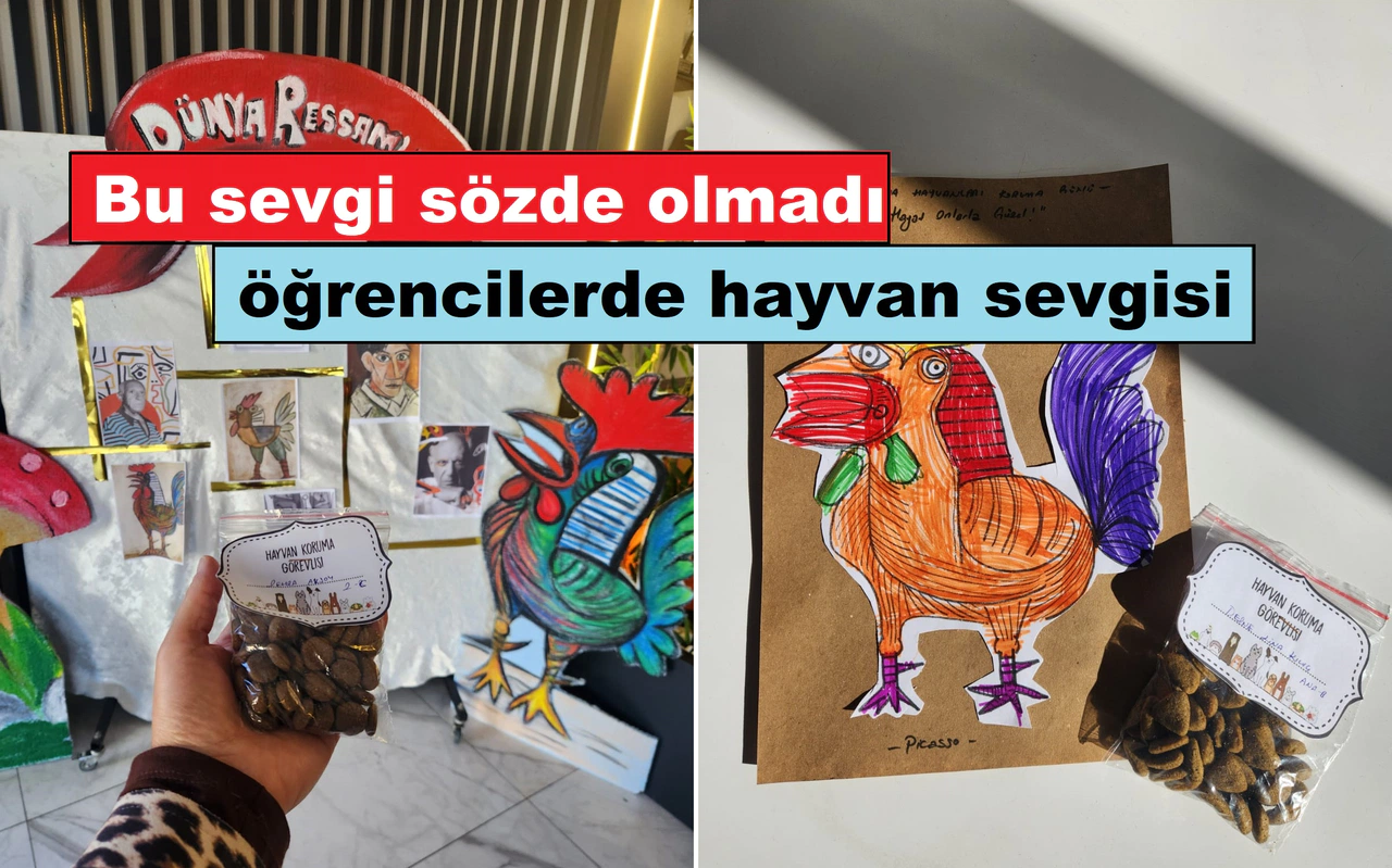 Sivas’tan örnek davranış: Hayvan sevgisi küçük yaşta başlar