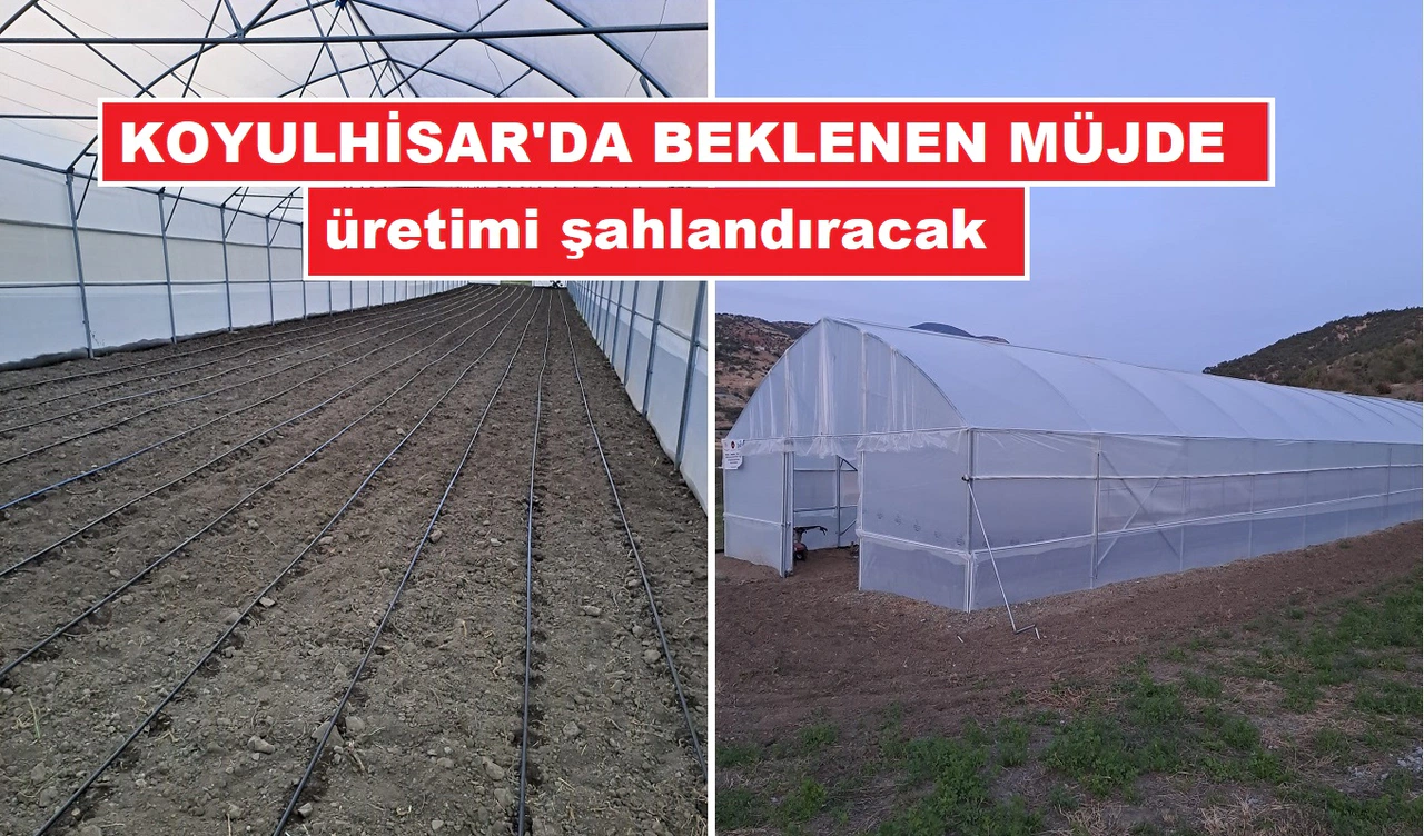 Koyulhisar çiftçisinin beklediği müjde geldi: Yeni dönem başladı