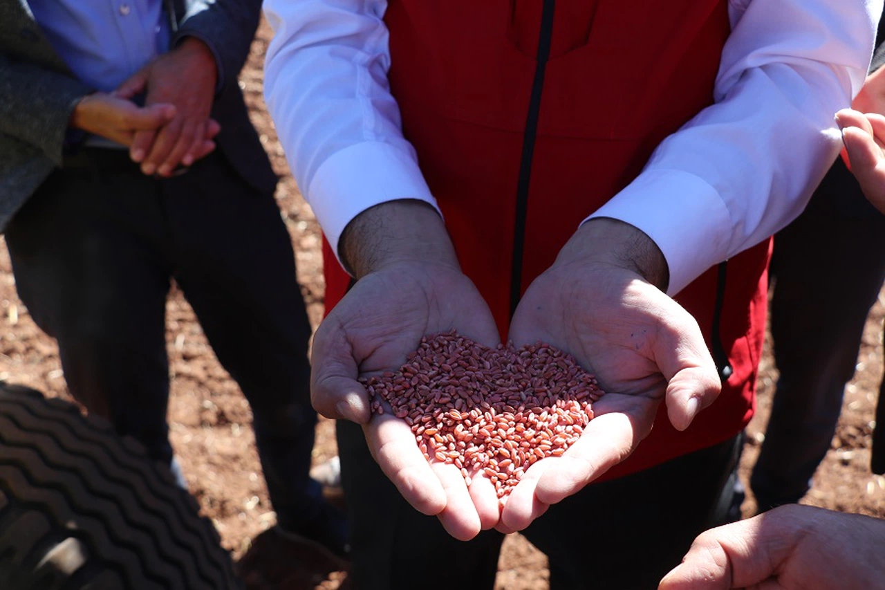 Sivas tarımında yeni sayfa: 7 noktada stratejik denemeler