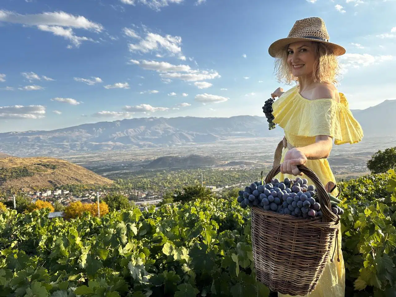 Bir üzümden daha fazlası: Sağlık, tarih ve ekonomi sepette