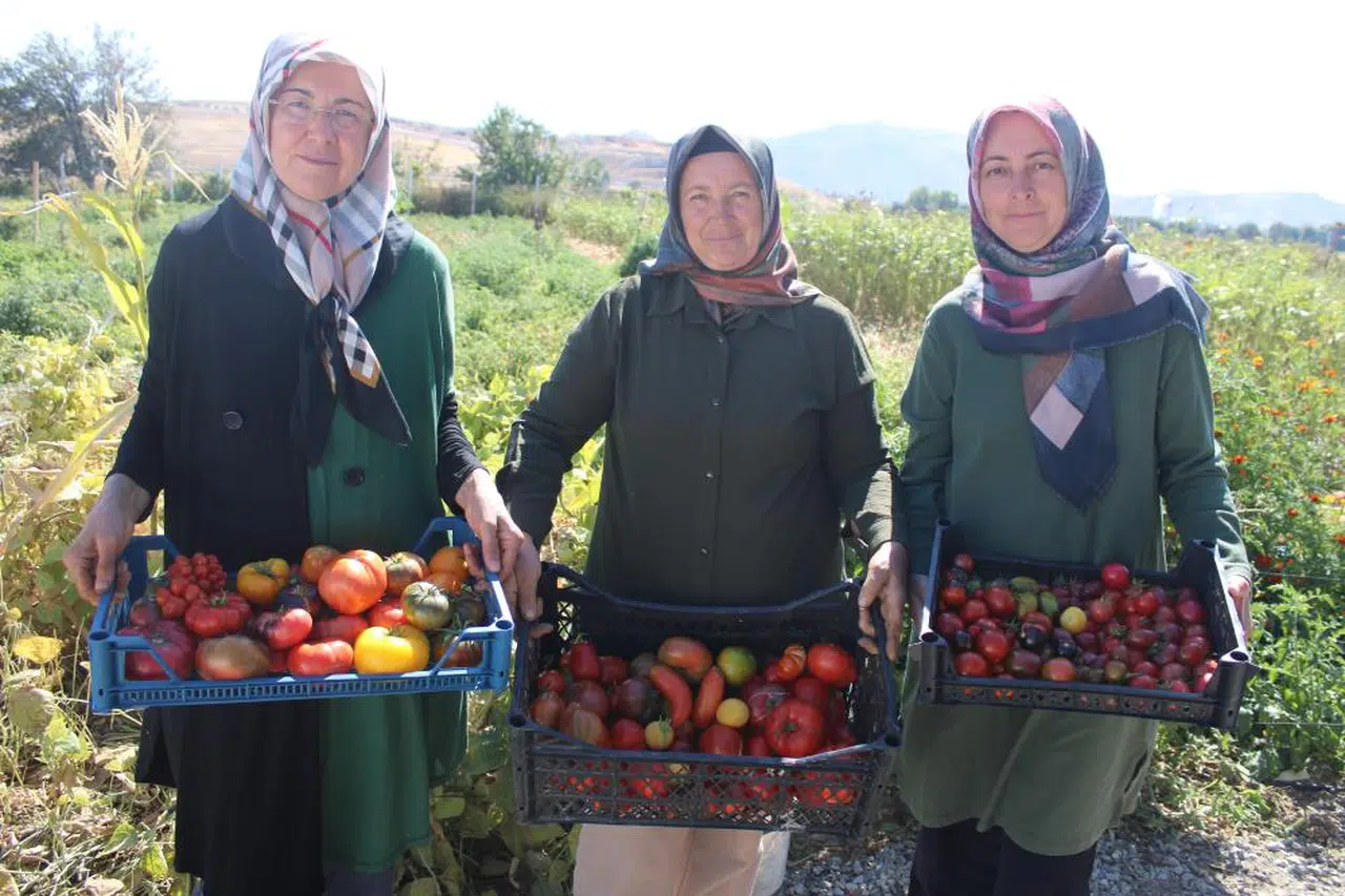 Toprağa Hayallerini Eken Kadınların Başarı Hikayesi