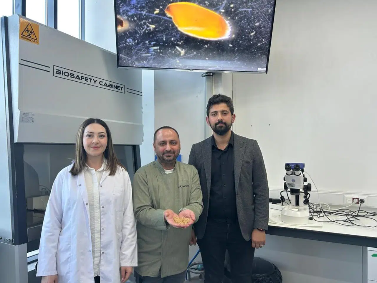 Sivas'tan Türkiye'ye yeni lezzet, taş değirmende hayat buldu