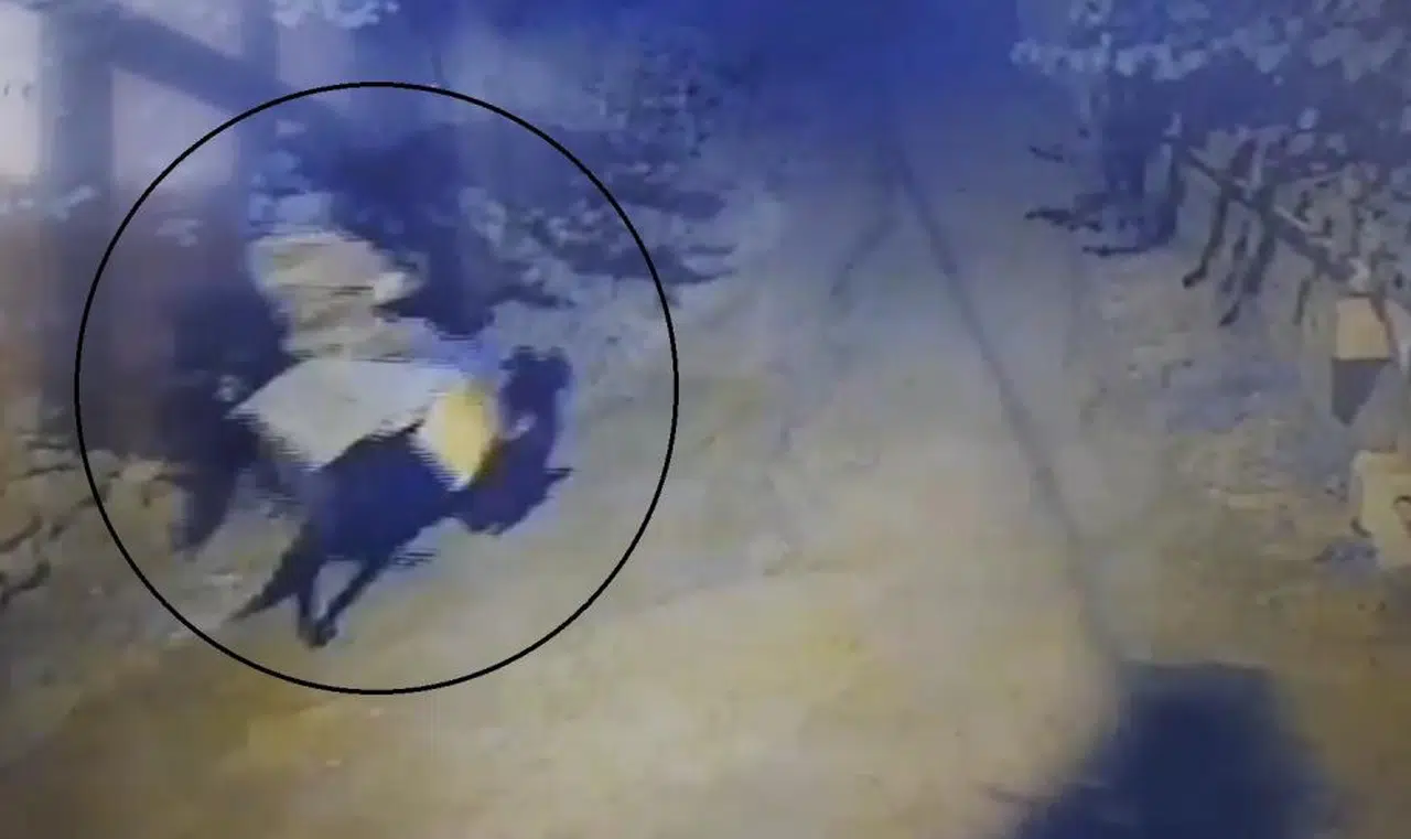 Tüyler Ürperten Olay! Cami Çıkışı Katliam!