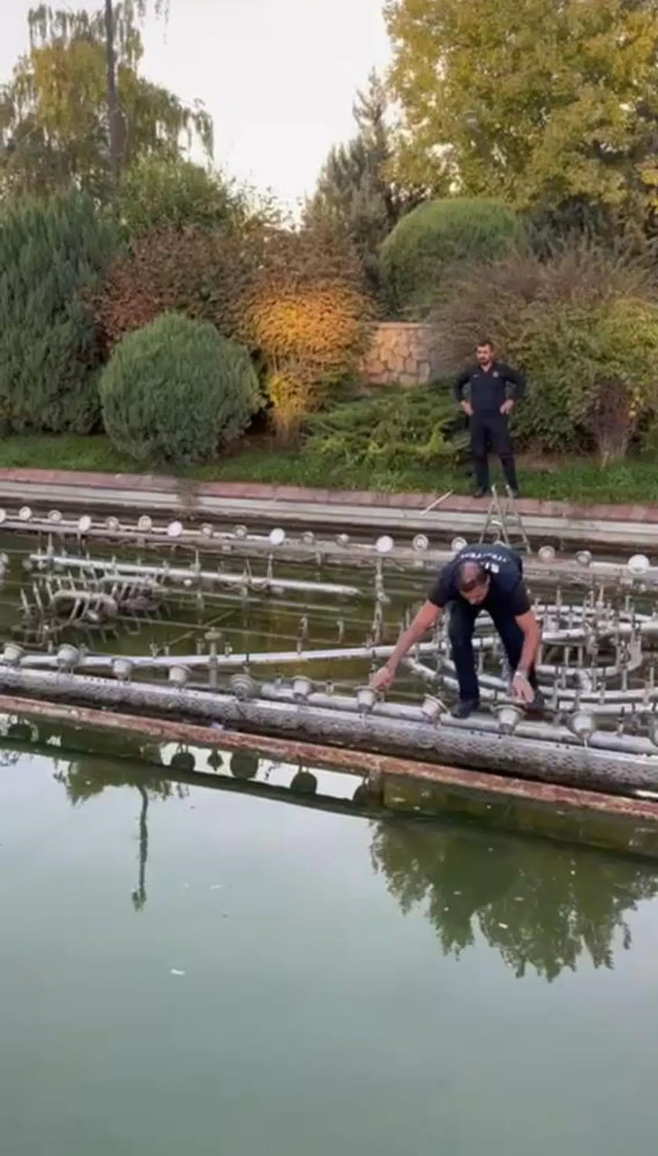 Sivas'ta Boruya Sıkışan Kuşun İmdadına İtfaiye Yetişti