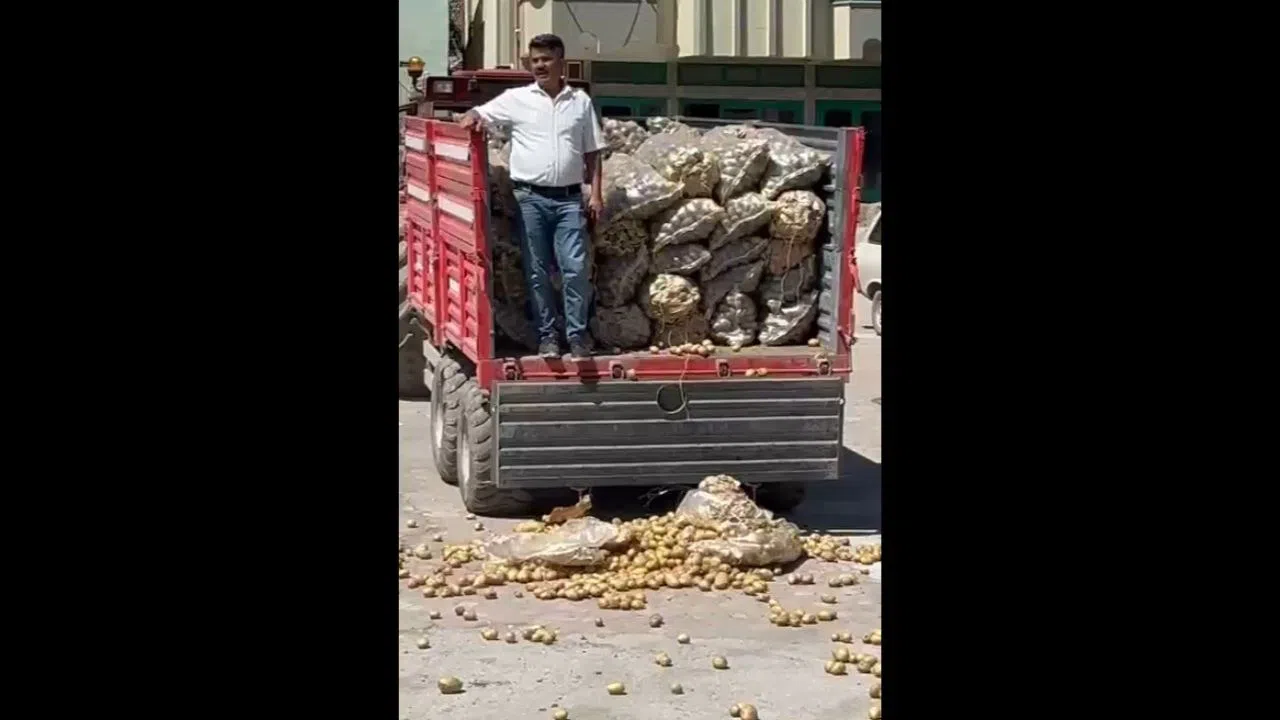 Patates Protestosuna Milyonluk Ceza Yolda