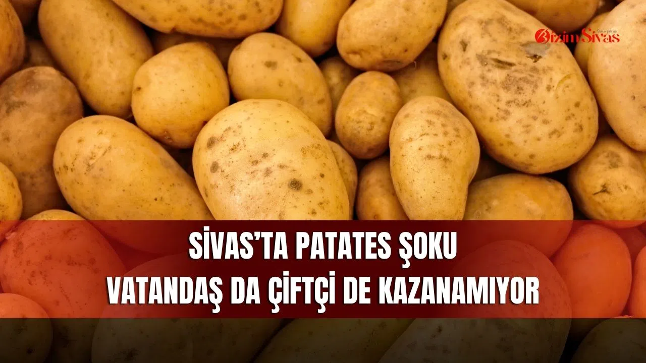 Sivas’ta patates şoku: Vatandaş da çiftçi de kazanamıyor
