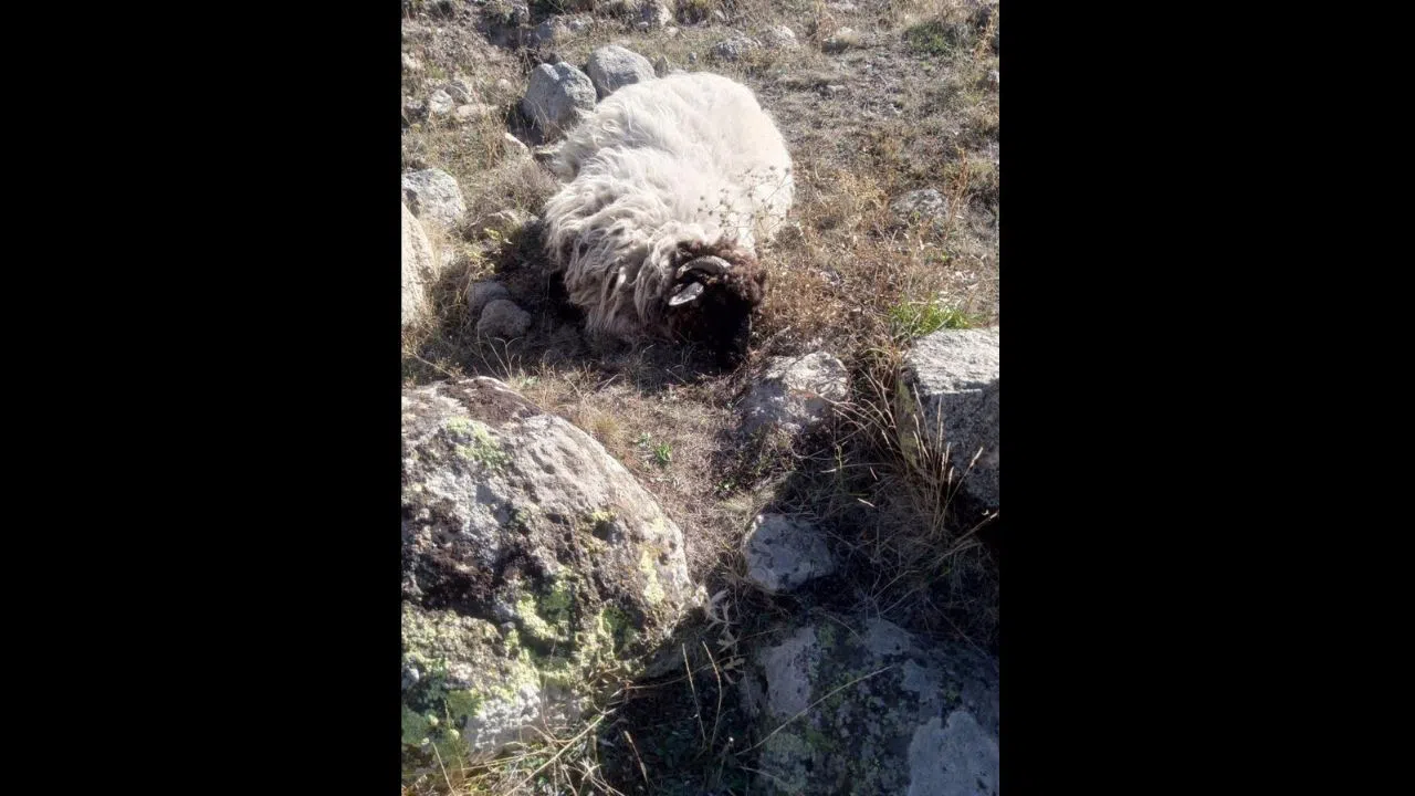 O Köyde Korku Dolu Anlar! Sabah Ortaya Çıkan Manzara Felaket!