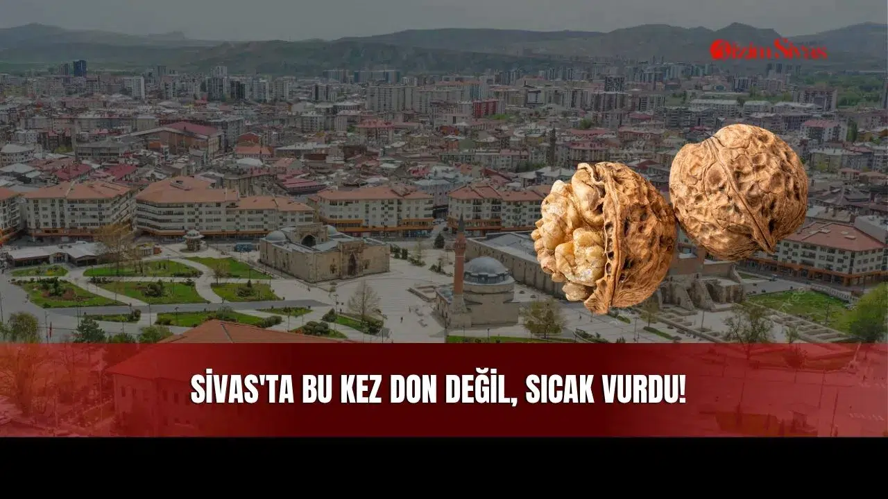 Sivas'ta Bu Kez Don Değil, Sıcak Vurdu!
