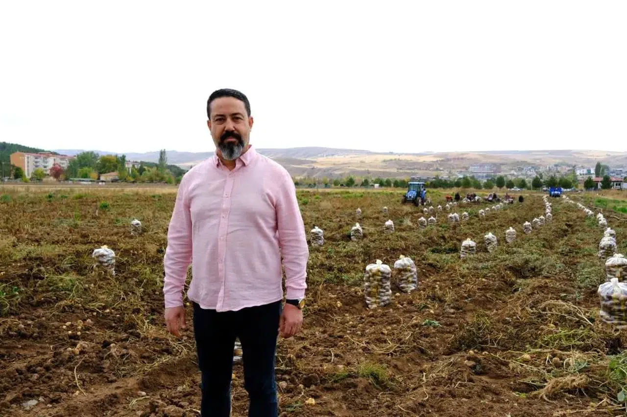 Sivas üniversitesindeki patatesler sadece karın doyurmuyor
