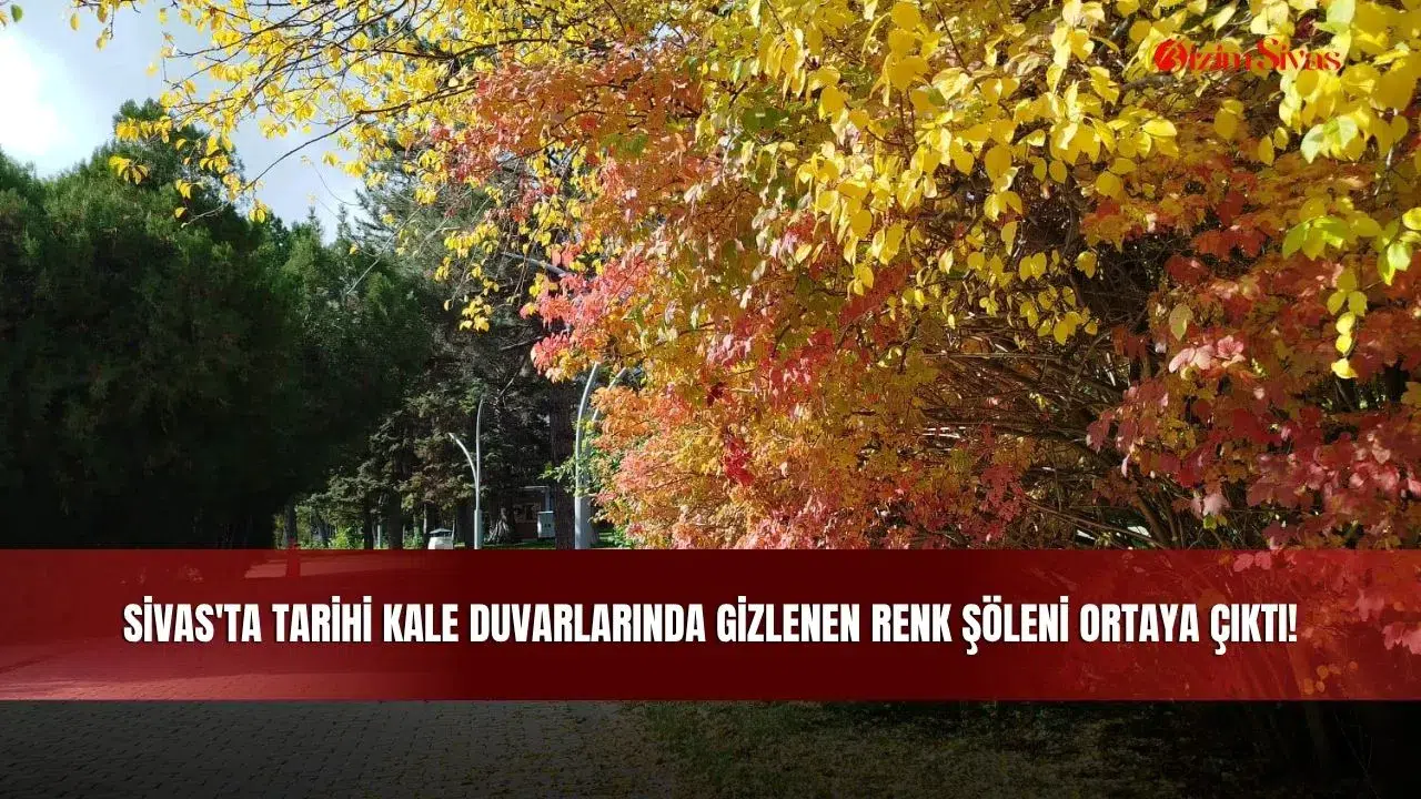 Sivas'ta Tarihi Kale Duvarlarında Gizlenen Renk Şöleni Ortaya Çıktı!