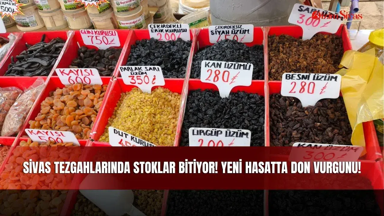 Sivas Tezgahlarında Stoklar Bitiyor! Yeni Hasatta Don Vurgunu!