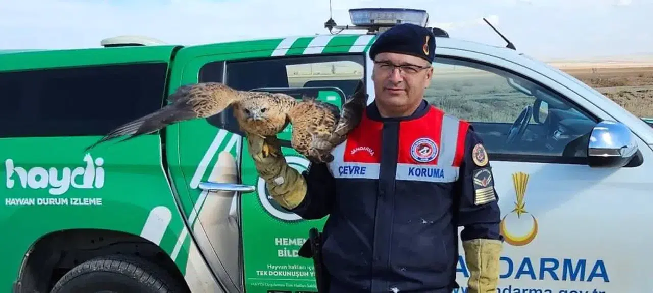 Jandarma ve HAYDİ Timleri Harekete Geçti!