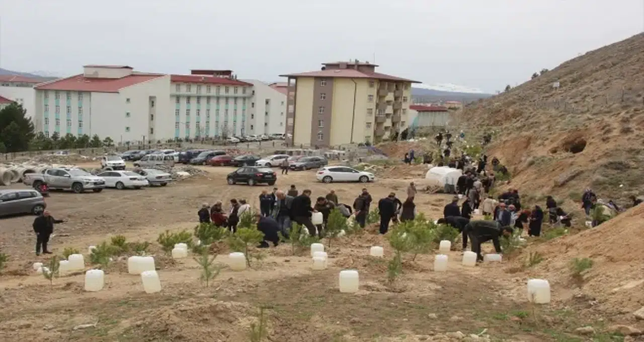 Zara’da toprağa can veren 29 bin fidan