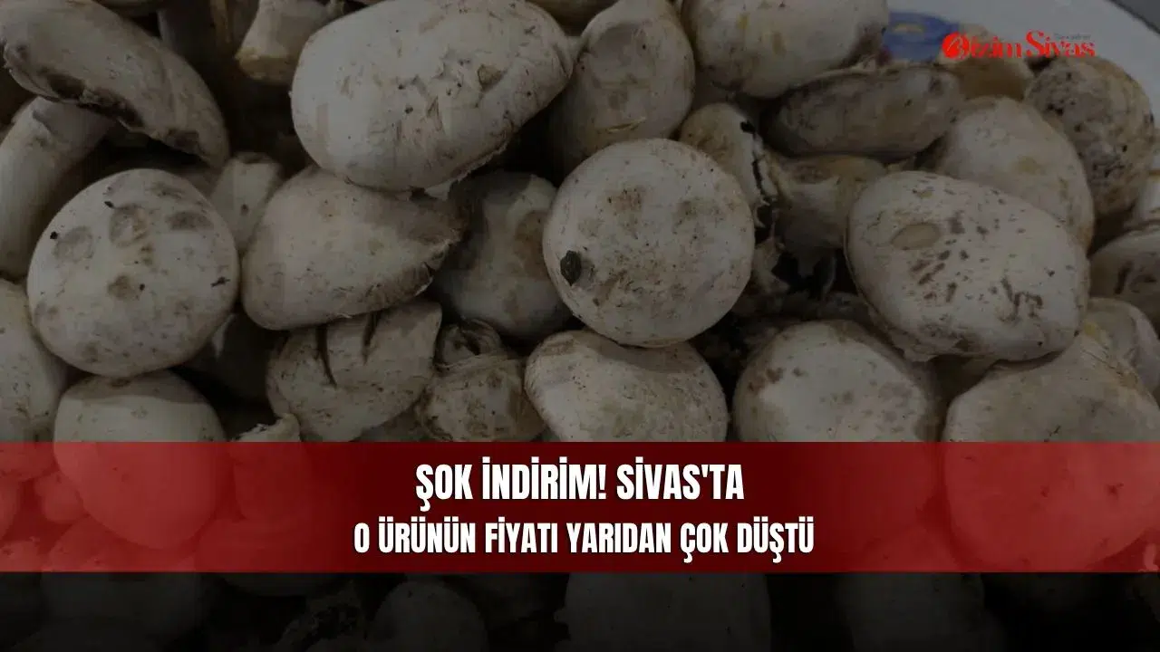 Şok İndirim! Sivas'ta O Ürünün Fiyatı Yarıdan Çok Düştü