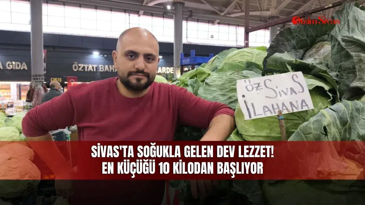 Sivas'ta soğukla gelen dev lezzet! En küçüğü 10 kilodan başlıyor