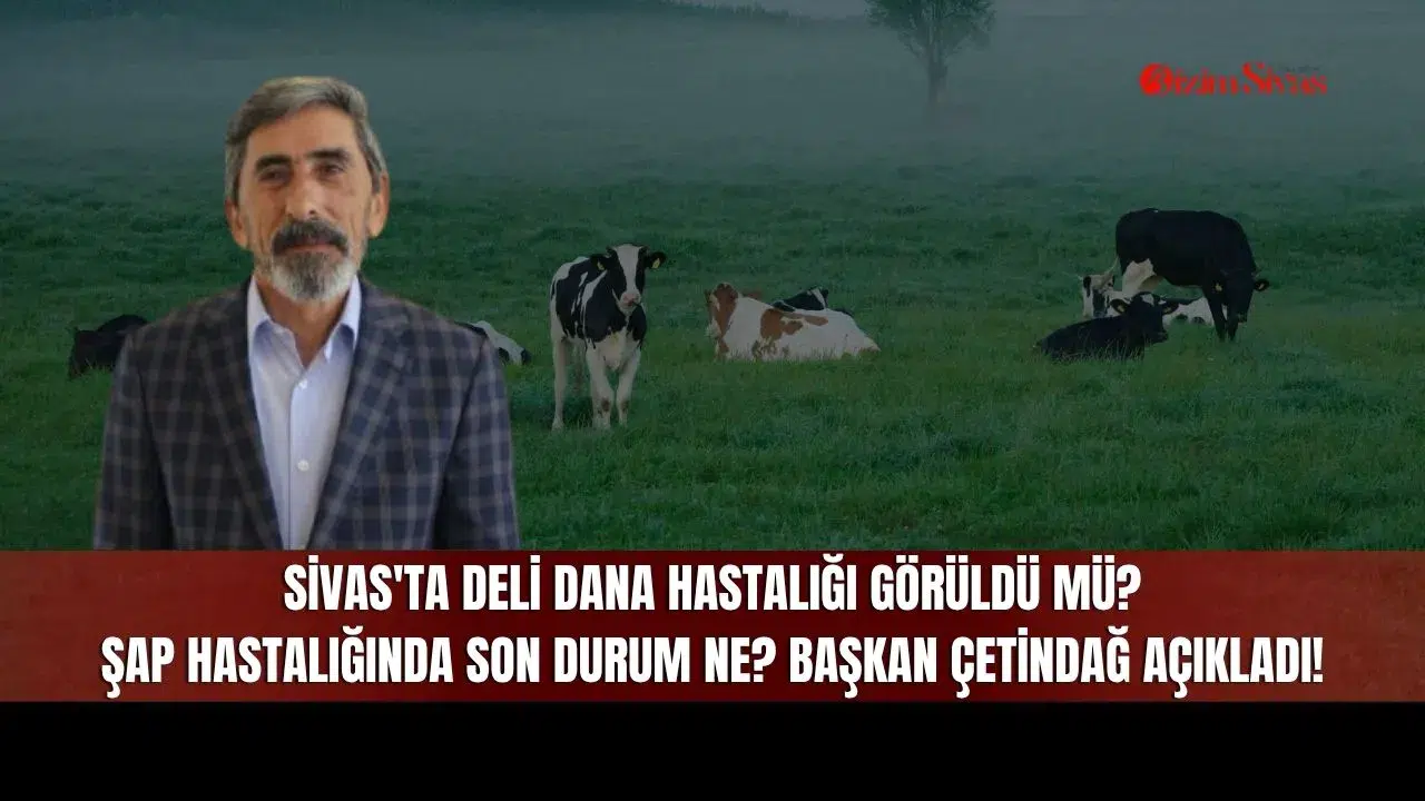 Sivas'ta Deli Dana Hastalığı Görüldü mü? Şap Hastalığında Son Durum Ne? Başkan Çetindağ Açıkladı!