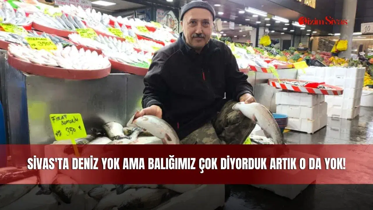 Sivas'ta deniz yok ama balığımız çok diyorduk artık o da yok!