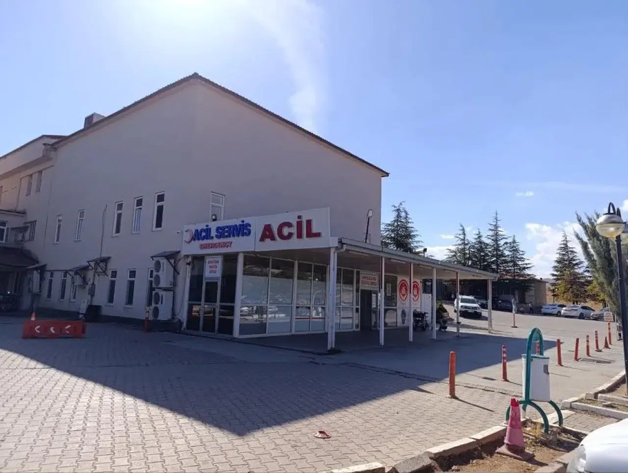 9 Yaşındaki Çocuk Arı Sokmasından Hayatını Kaybetti!