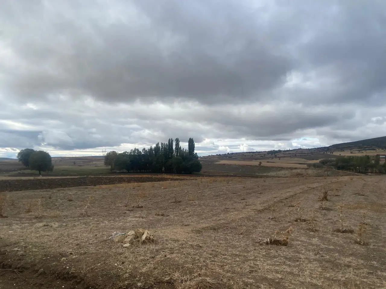Yağmurun Ardından Tarlalar Ekin İçin Hazır Hale Geldi