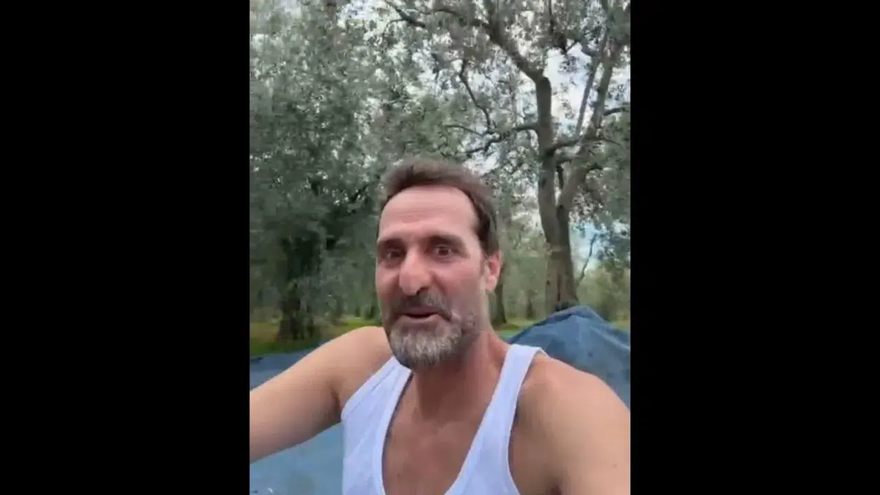 Kimse görmeden! Timur Acar’ın İznik zeytinliğindeki ilk hasat anı