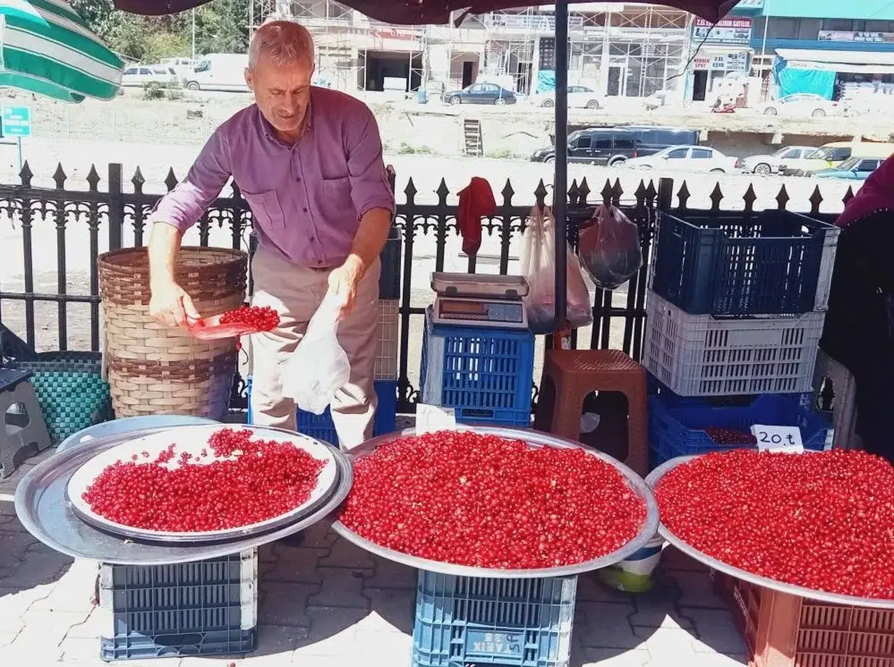 Köylülerin ormandan topladığı bu meyve altın değerinde