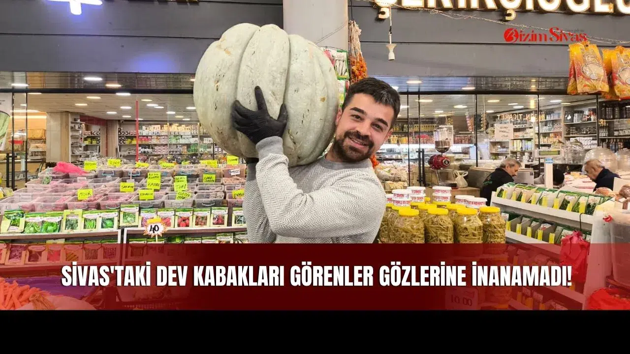 Sivas'taki Dev Kabakları Görenler Gözlerine İnanamadı!
