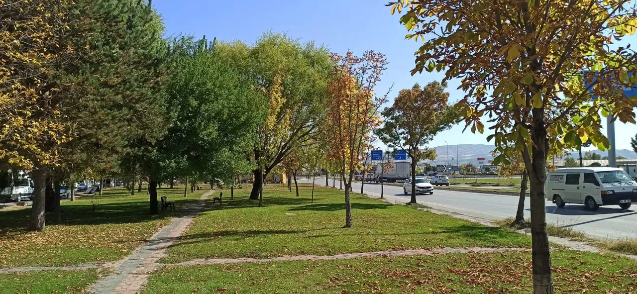 Sivas’ta Sonbahar Rüzgârı Parklarda Renk Cümbüşü Başladı