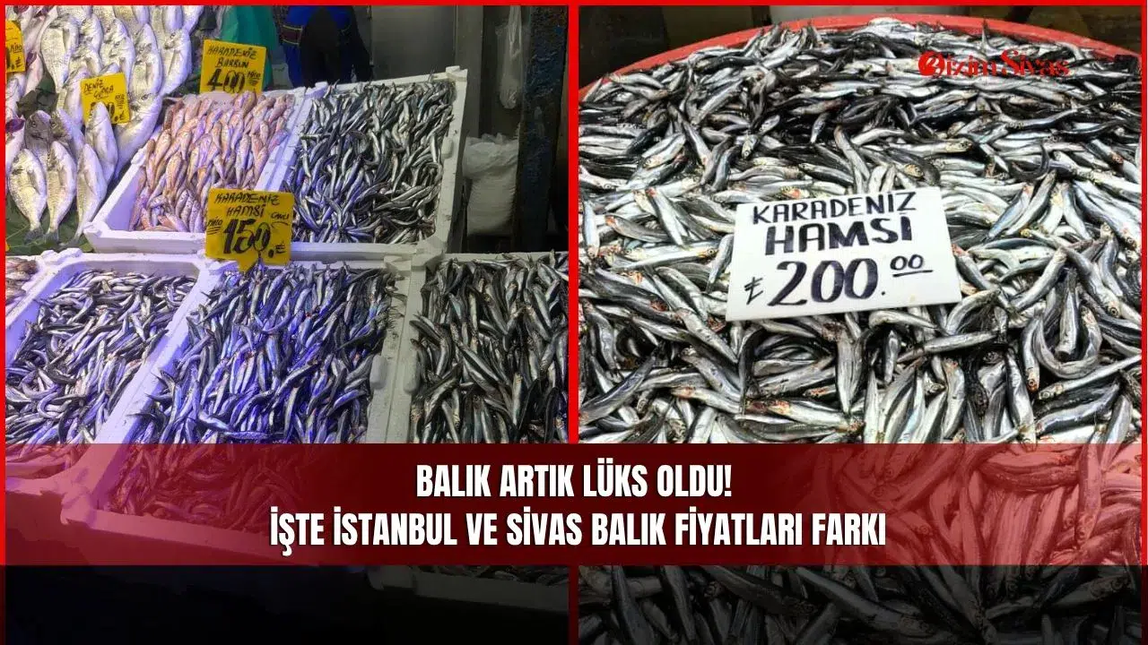 Balık Artık Lüks Oldu! İşte İstanbul ve Sivas Balık Fiyatları Farkı