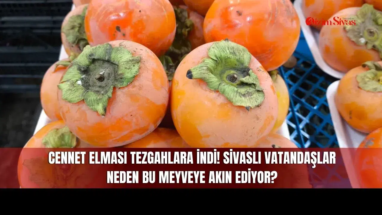 Cennet Elması Tezgahlara İndi! Sivaslı Vatandaşlar Neden Bu Meyveye Akın Ediyor?