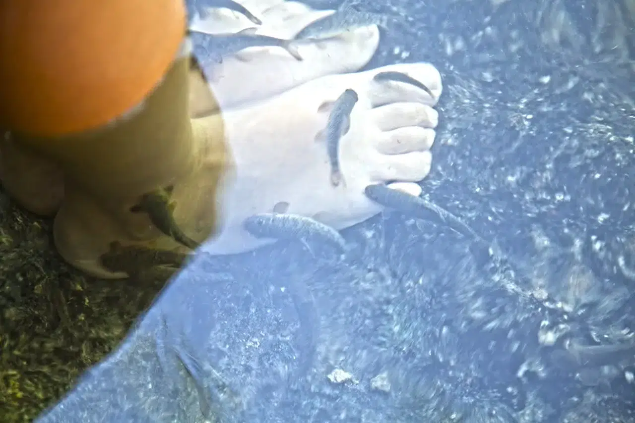 Yurt Dışından Bile Akın Ediyorlar! Sivas’ın Şifalı Mucizesi