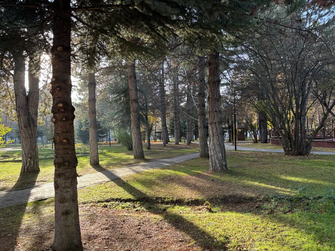 Güneş Aldatmasın, Ayaz Kapıda! Sivas'ın O Meşhur Kuru Soğuğu Başladı!