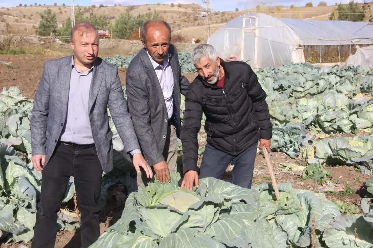 Sivas’ın gizli devi: 30 yıllık ata tohumundan doğan mucize
