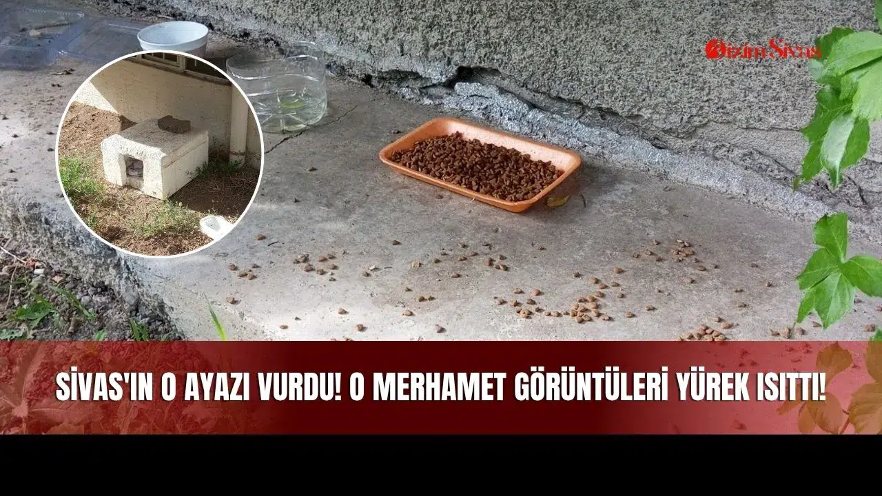 Sivas'ın O Ayazı Vurdu! O Merhamet Görüntüleri Yürek Isıttı!
