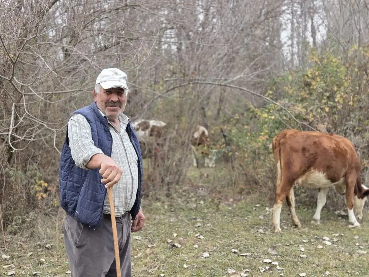 Komşuda kuraklıktan çobanlar suyun izini arıyor