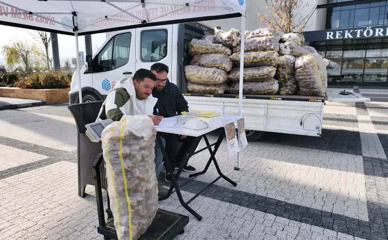 Sivas'ta Ar-Ge ile geliştirilen patatesler satışta