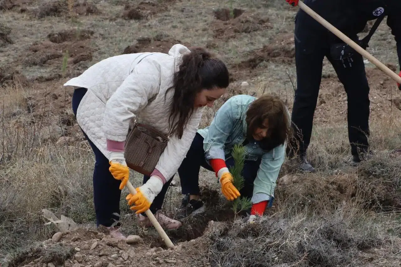 Sivas Muhsin Yazıcıoğlu Vefa Ormanı’nda yeşeren 58 bin can