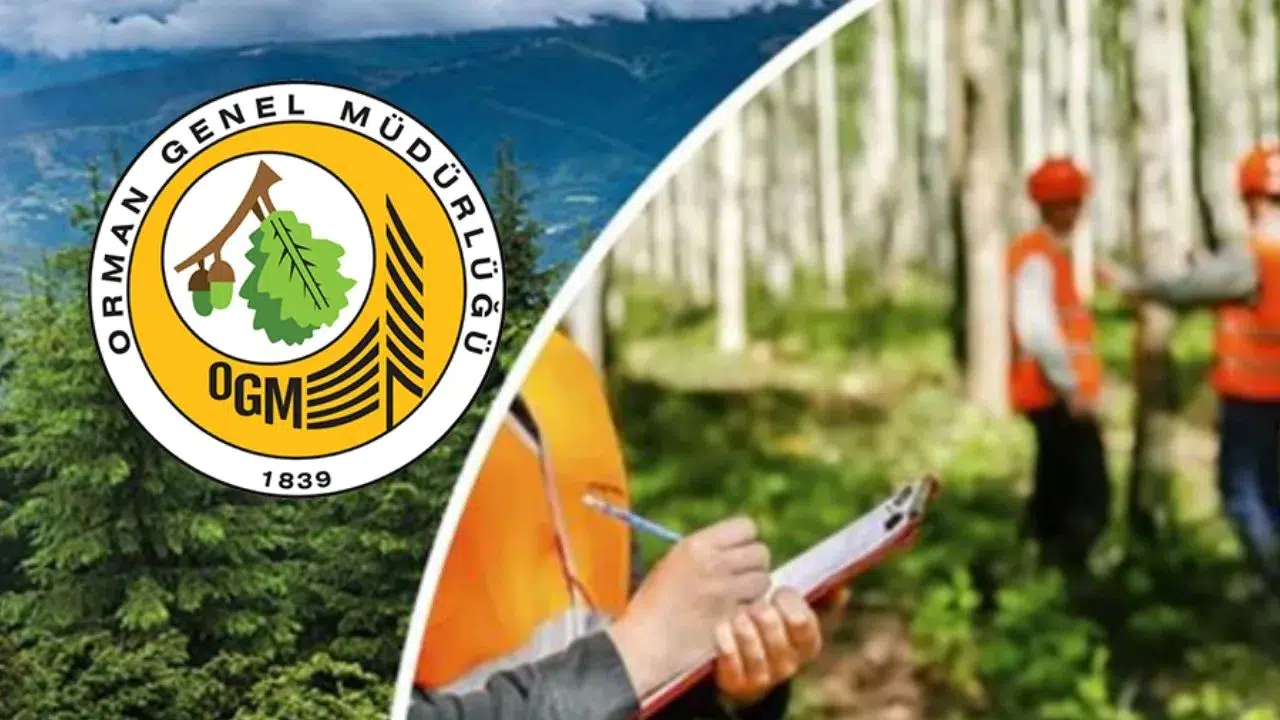 Orman Genel Müdürlüğü Personel Alımı Yapacak! İşte Sözleşmeli Personel Alım Şartları!
