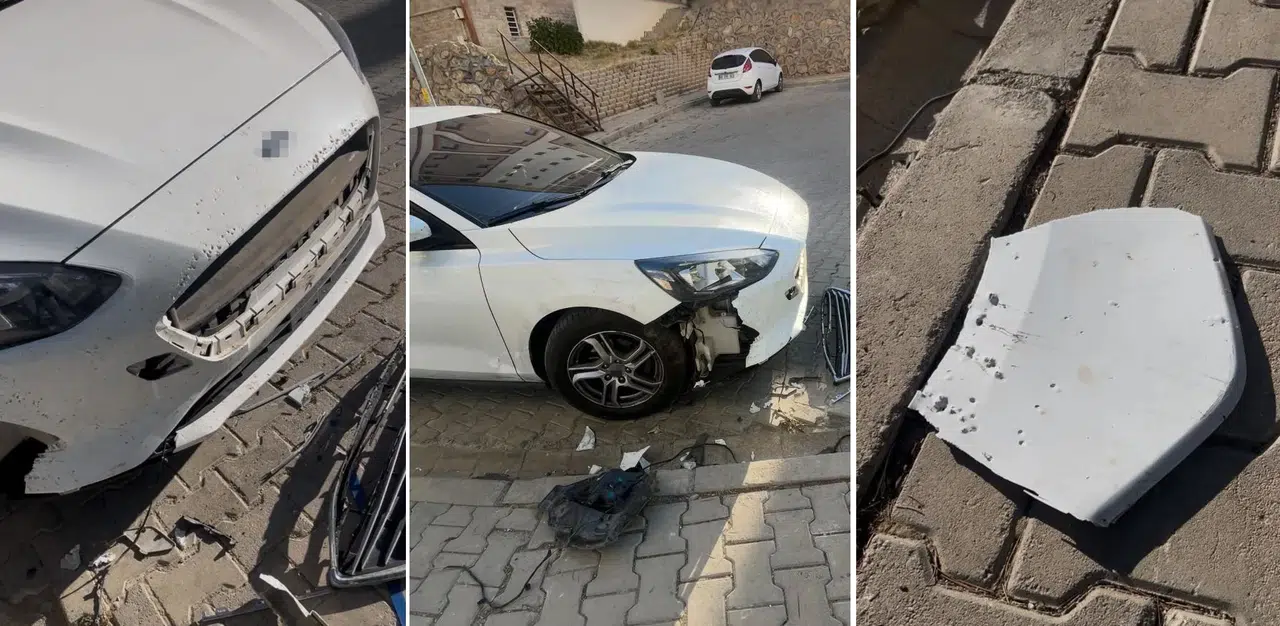 Sivas Divriği’de sokak köpekleri 108 bin TL’lik hasar bıraktı!