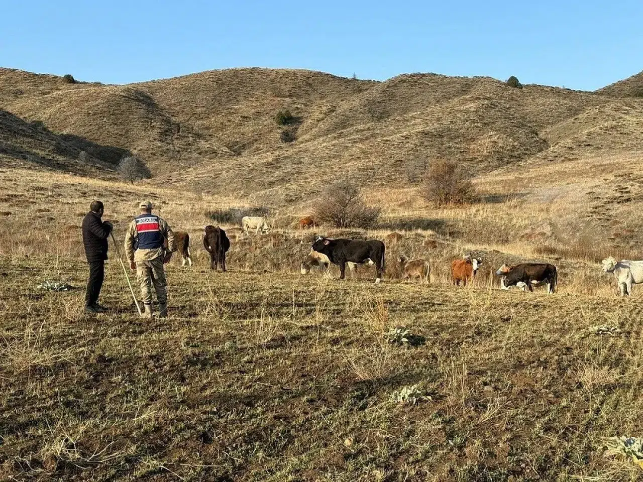Jandarma'dan çobanı mutlu eden sonuç