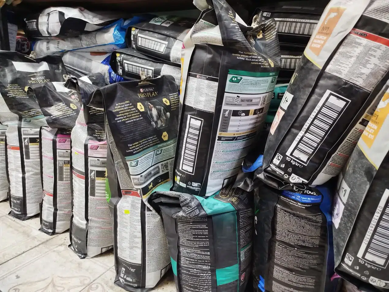 Sivas'ın Soğuğu Değil, Merhameti Konuşuluyor! Vatandaşlar O Canlar İçin Harekete Geçti!