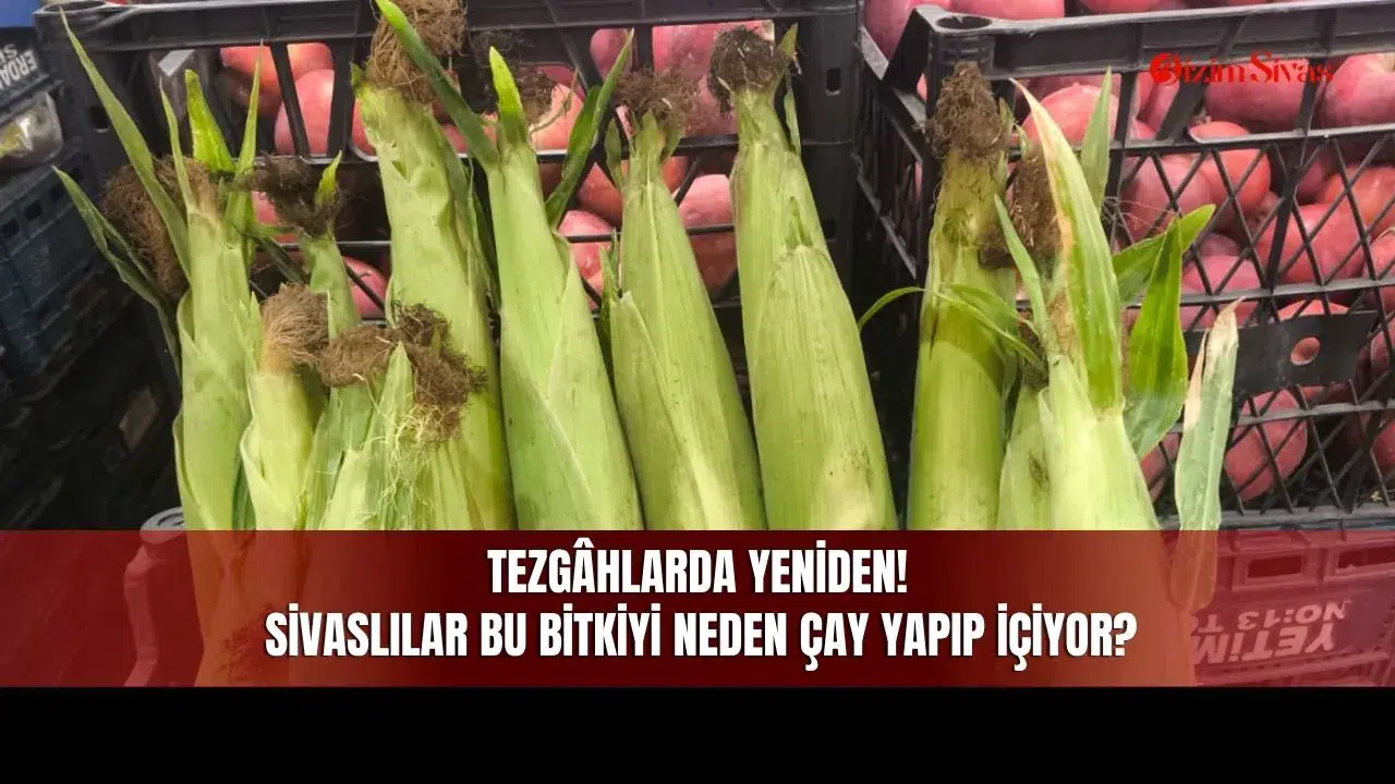 Tezgâhlarda Yeniden! Sivaslılar Bu Bitkiyi Neden Çay Yapıp İçiyor?